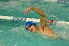Swimming vs Bentley  Wheaton College Swimming & Diving vs Bentley College. - Photo by Keith Nordstrom : Wheaton, Swimming & Diving